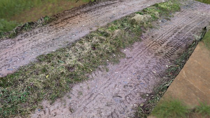 muddy road with tire tracks