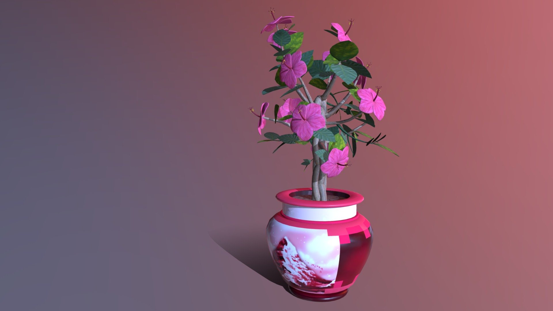 Hibiscus