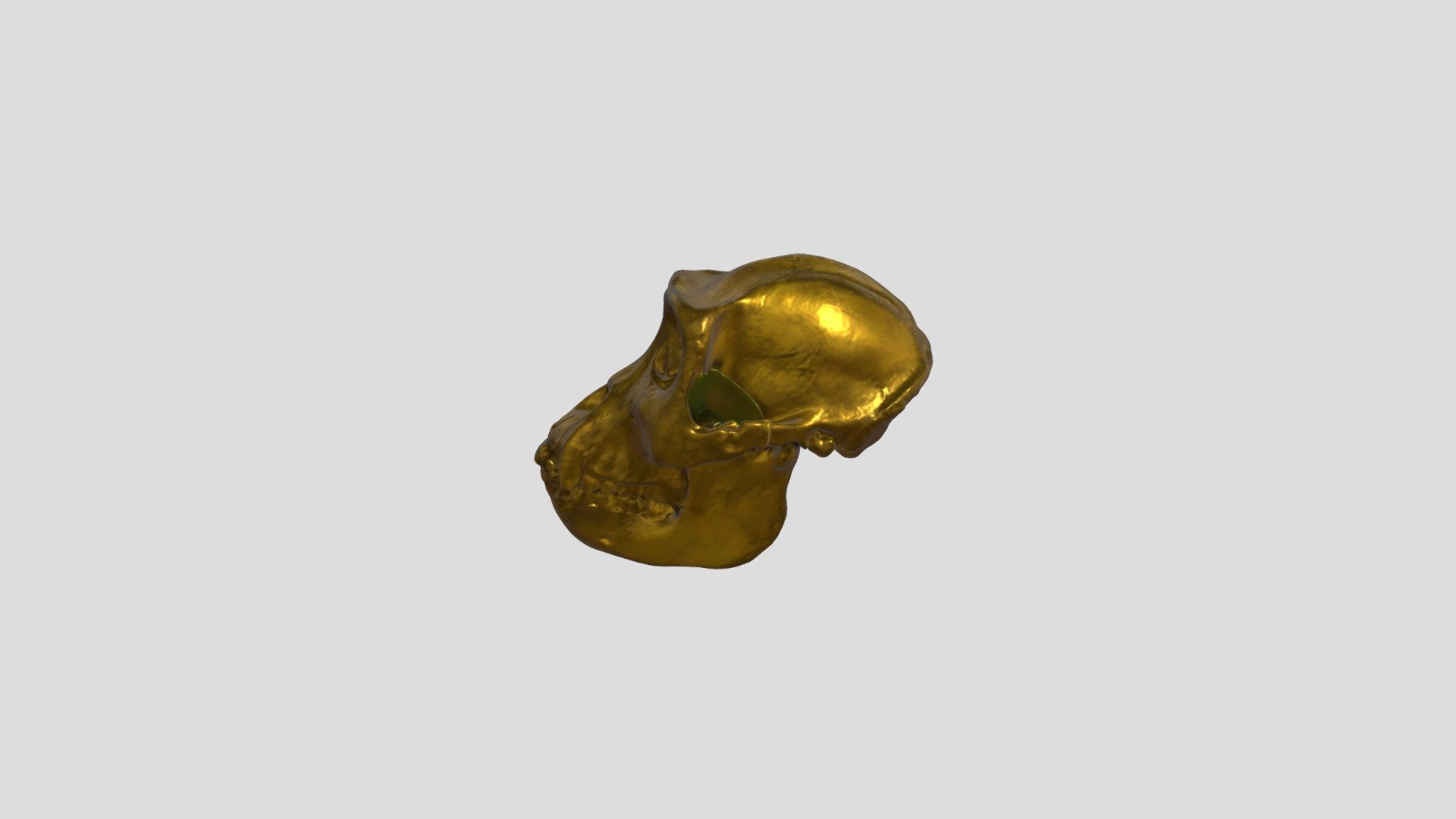 Golden Ape Skull