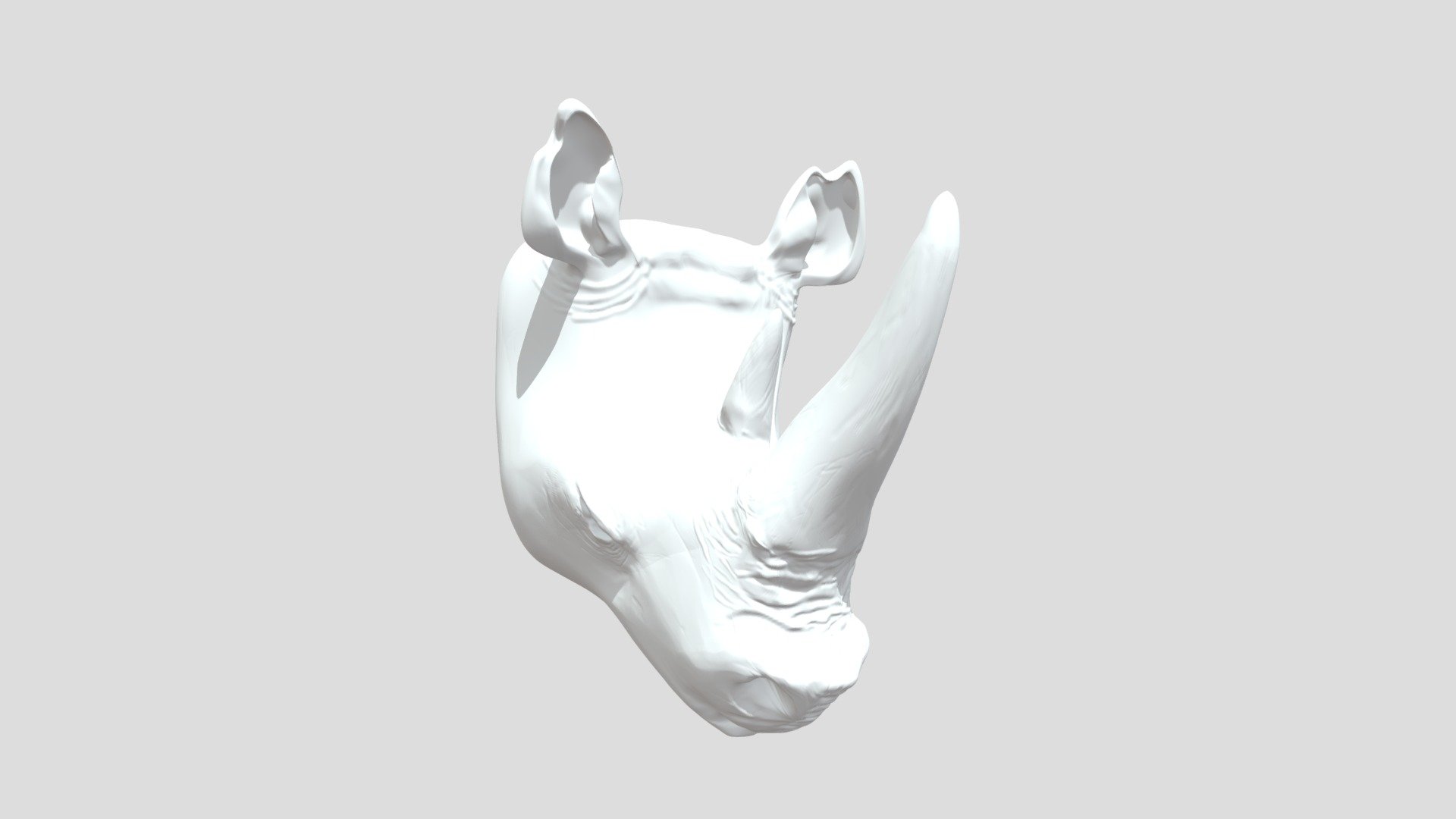 Rhino Blockout