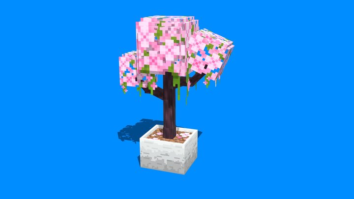 Cherry tree 3D Model