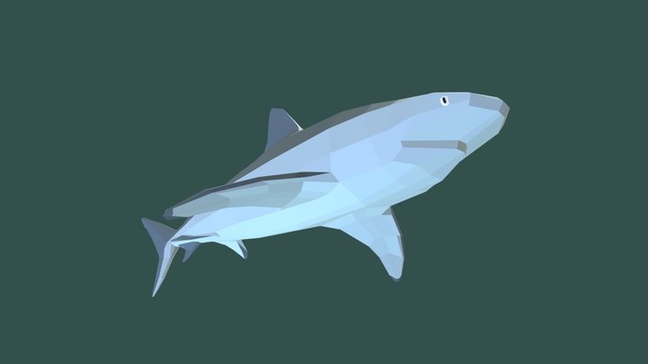 Caribbean Reef Shark [Low Poly] 3D Model