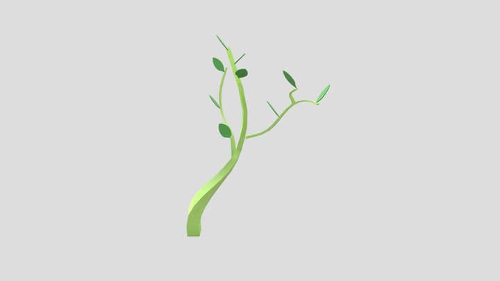 plantcgt 3D Model