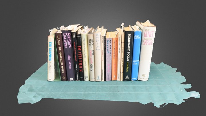 Bookshelf of seized literature 3D Model