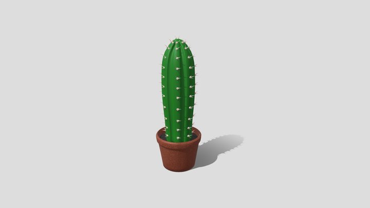 Week 8 - Cactus 3D Model