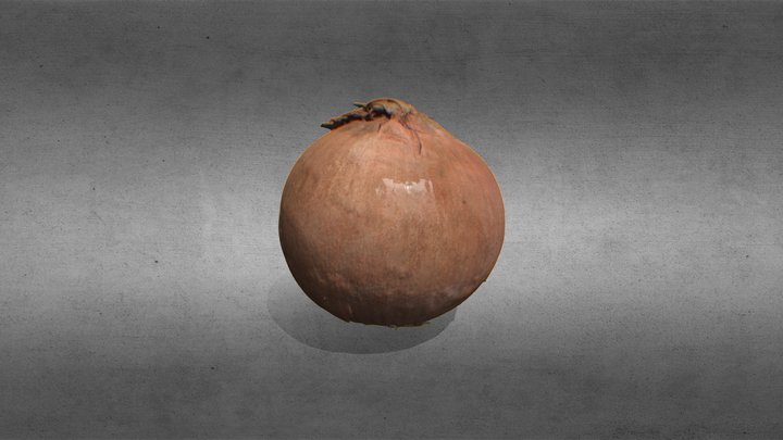 Onion With Skin 3D Model