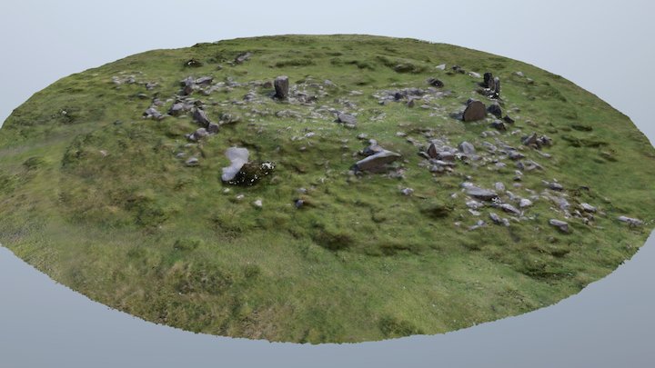 Steinacleit Neolithic Stone Circle 3D Model