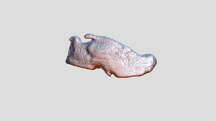 Rgr 3D Model