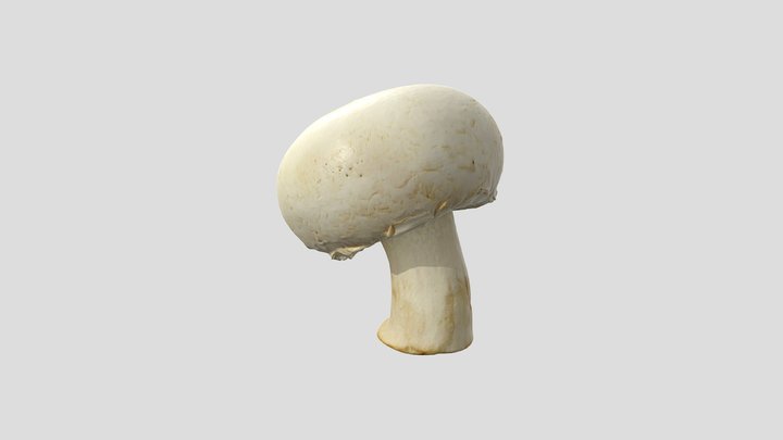 3D Scan - Mushroom 1 3D Model