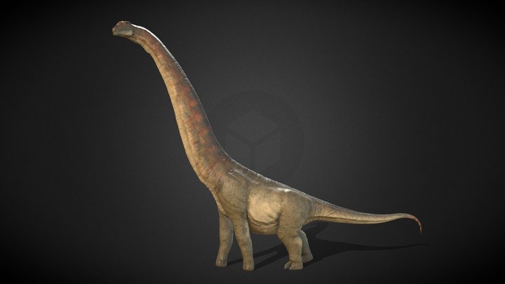 Argentinosaurus 3D Model