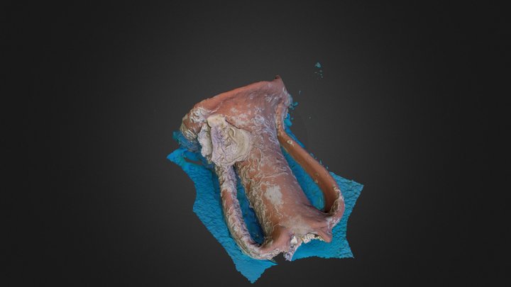 Anfora con textura 3D Model