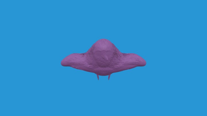 yourMesh 3D Model