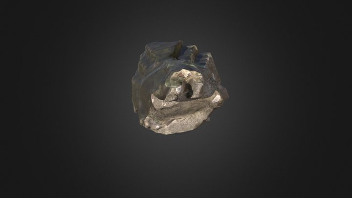 590310256 3D Model