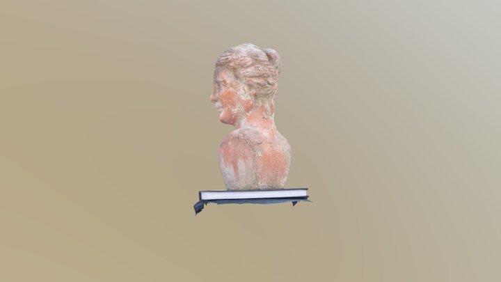 Bust Comparison - Zephyr (Default) 3D Model
