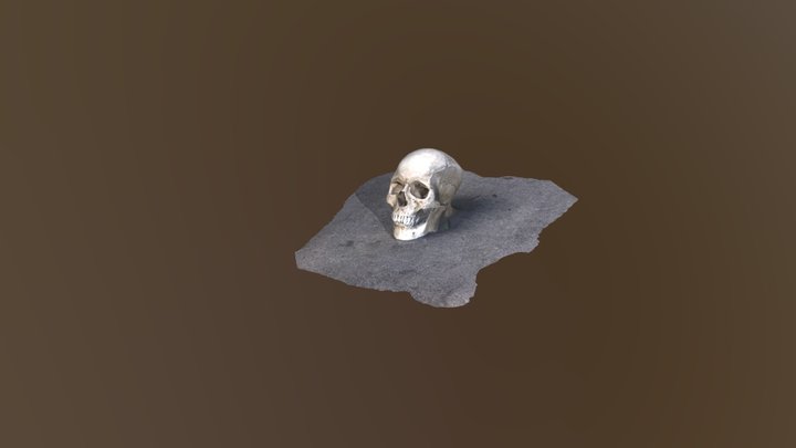 Skull on sidewalk 3D Model