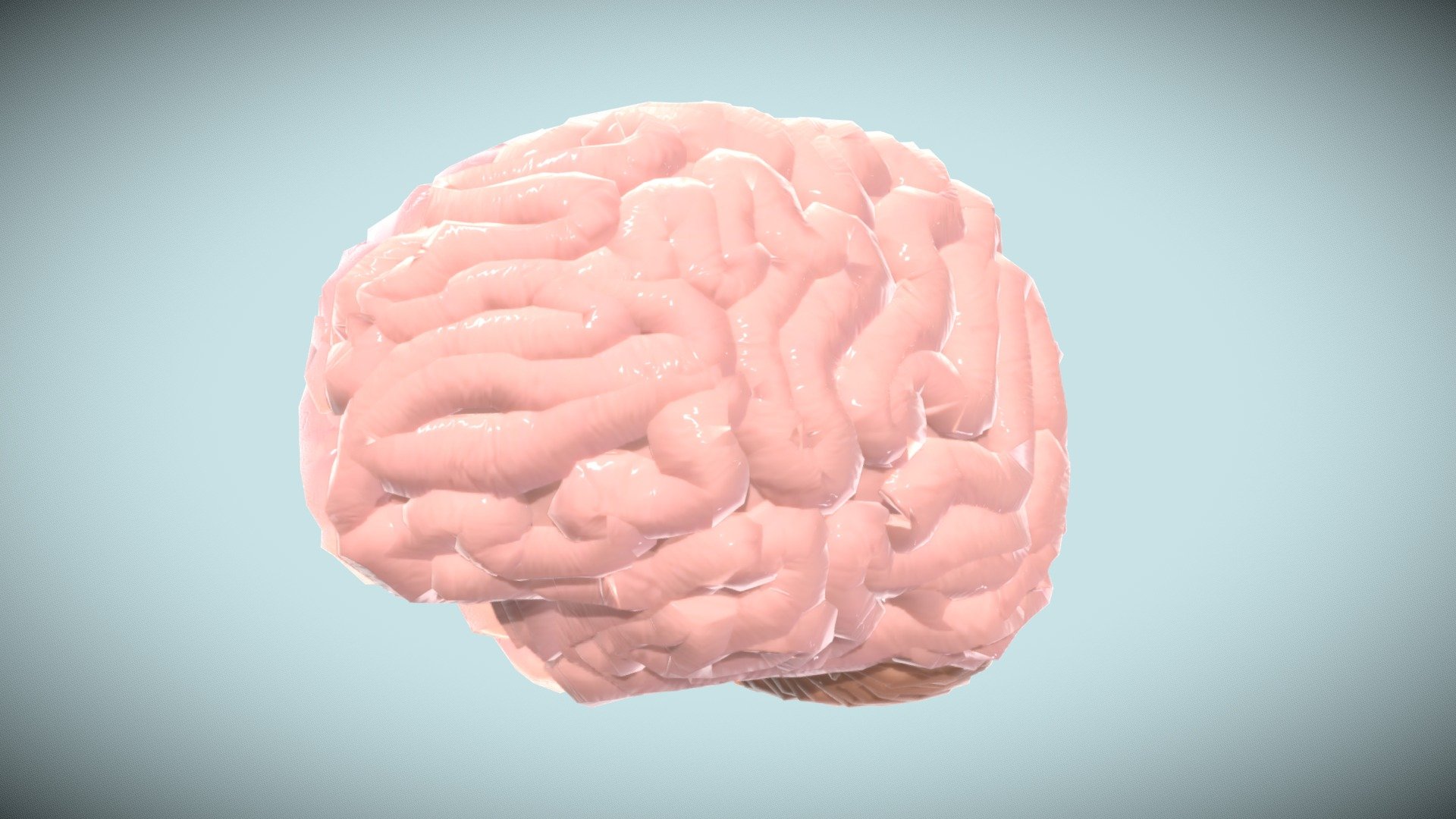 Final Brain Ryann Davis