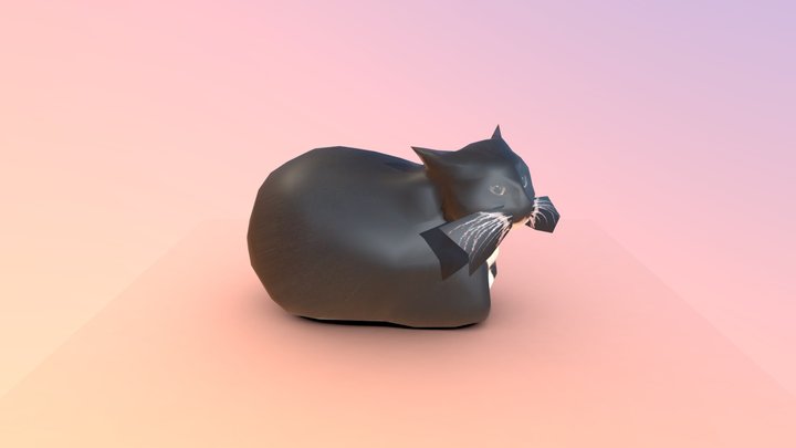 Maxwell the cat 3D Model