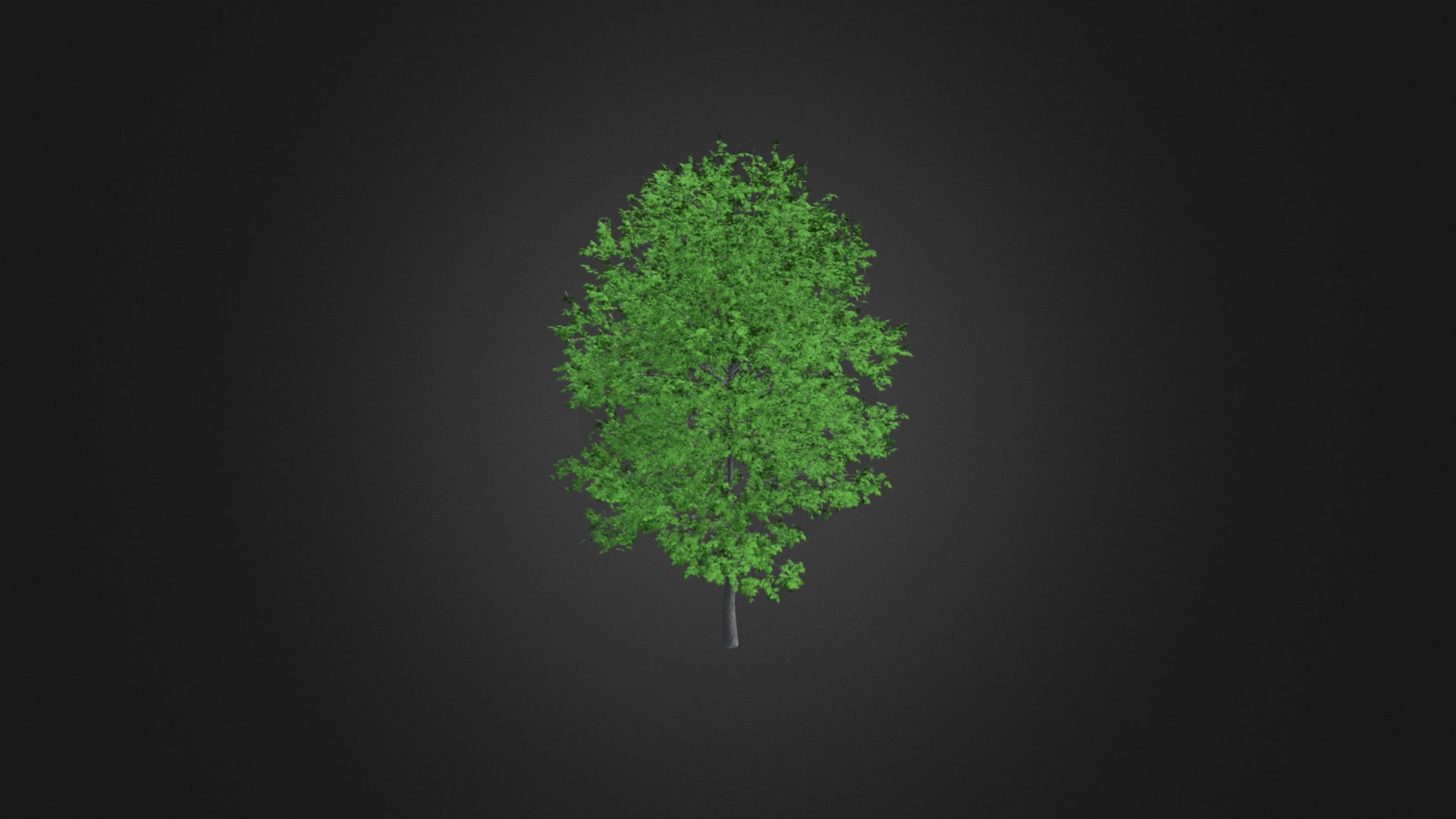 3D model Sugar Maple 3D Model 7.3m - This is a 3D model of the Sugar Maple 3D Model 7.3m. The 3D model is about background pattern.