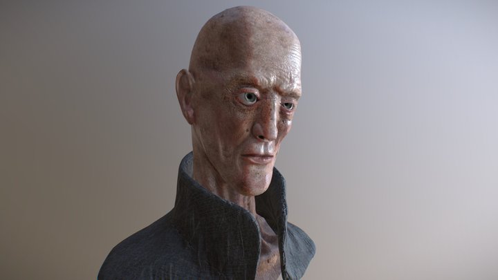 Bust 3D Model