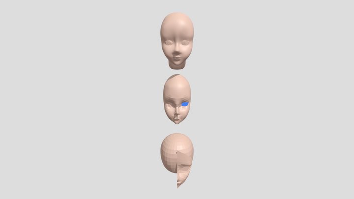 FACE HEAD 3D Model