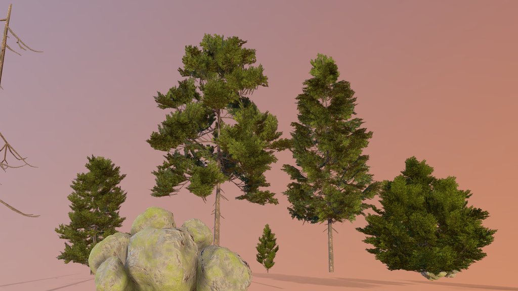 Coniferous Forest Assets Pack