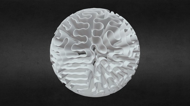 Brain Hole 3D Model