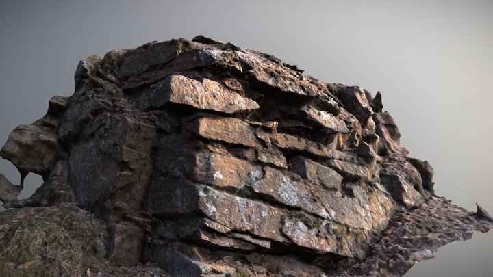 Forest Rock Scan 3D Model