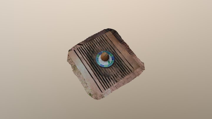 Coconut on Plate 3D Model