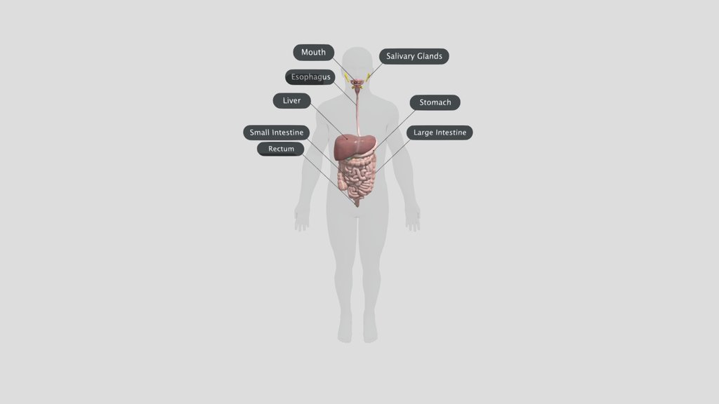RawM - A 3D model collection by bkl_no6 - Sketchfab