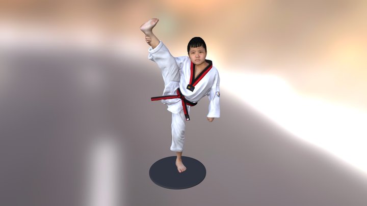 Vnace Taekwondo 3D Model