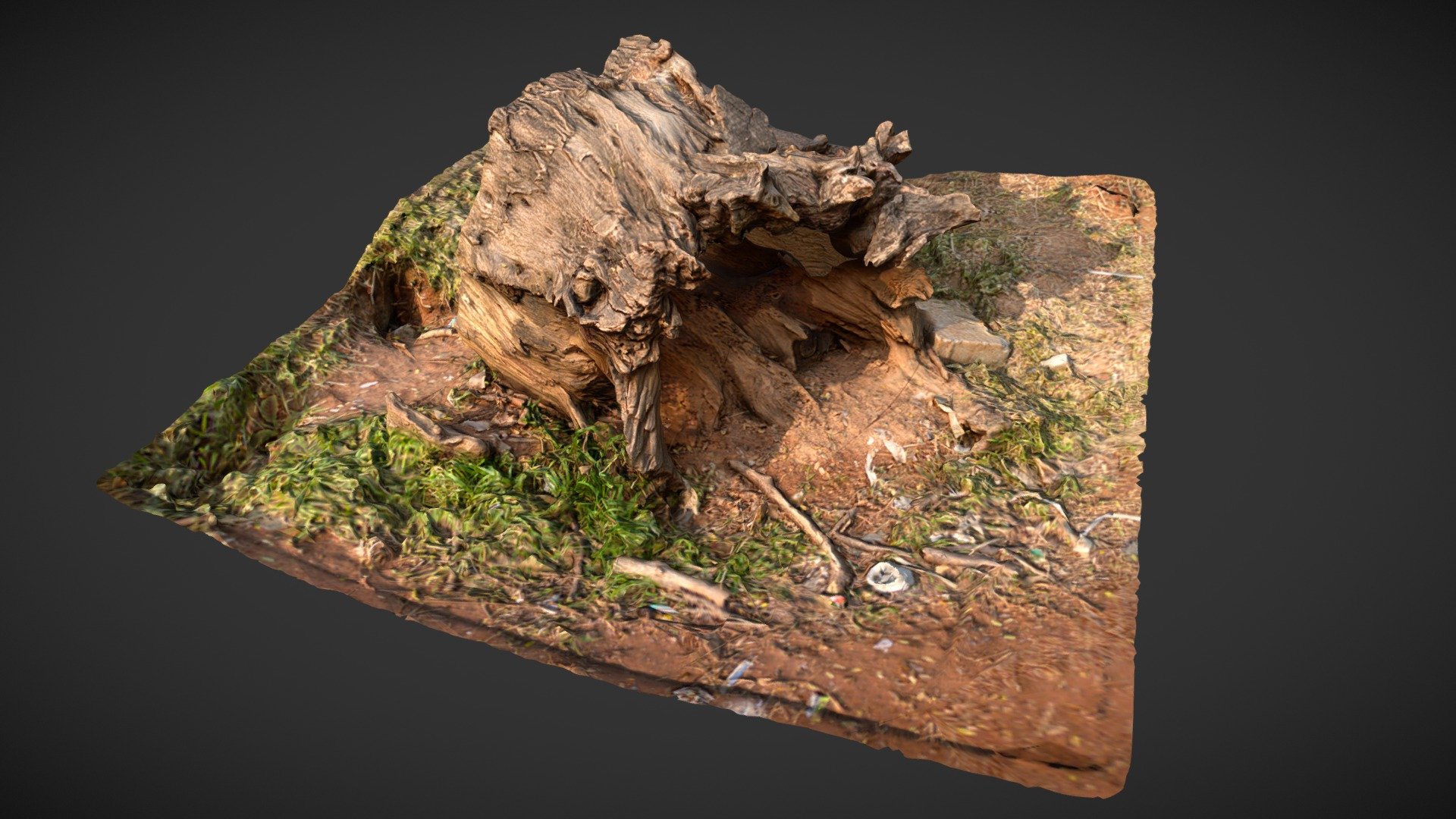 Hallow Trunk Ground