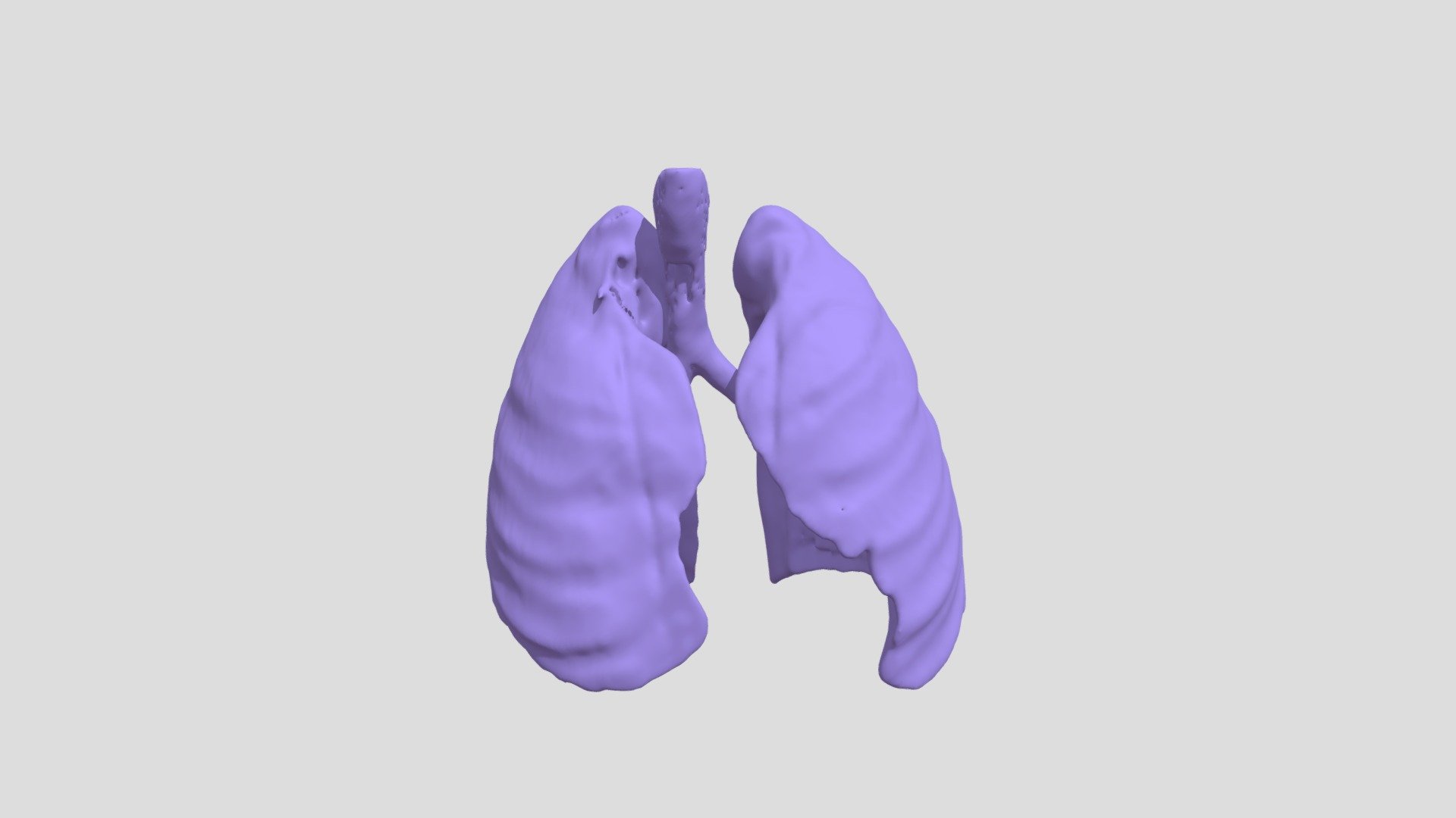 Segmentation_lungs