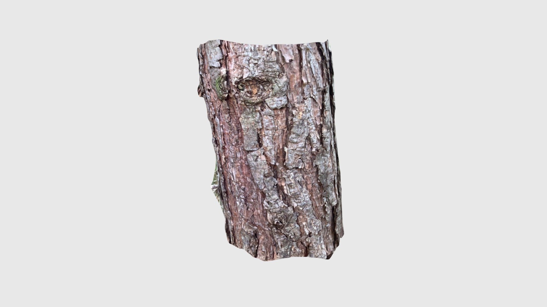 Pine2203220853