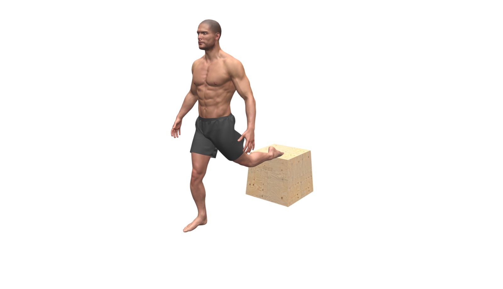 Wooden Box Bulgarian Split Squats - 3D model by gymsterapp [241fc19 ...