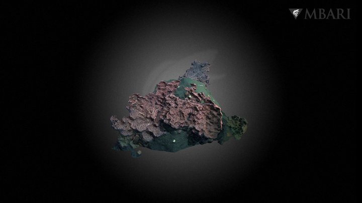 Deep Sea Coral Outcropping – Modello 3D gratuito STL