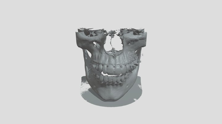Chrome skull 3D Model