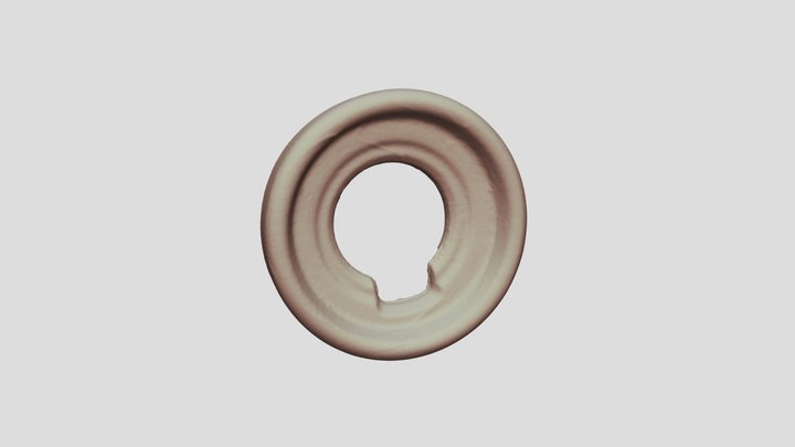 Fujifilm GFX 100 Eye Cup Scan 3D Model