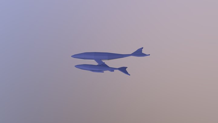 Cetaceo 3D Model