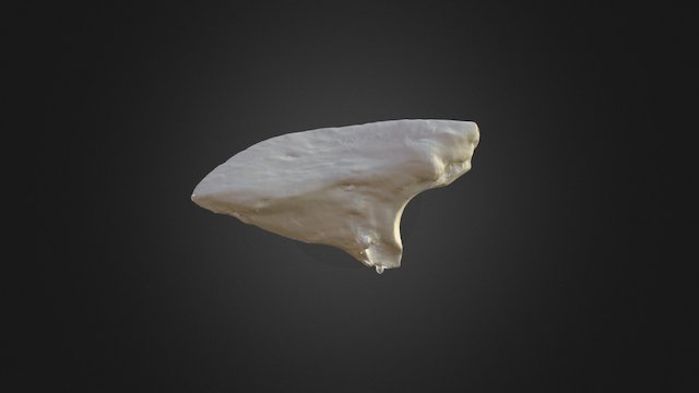 1310002 Third Front Carpal Left 3D Model