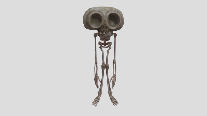 skelly 3D Model