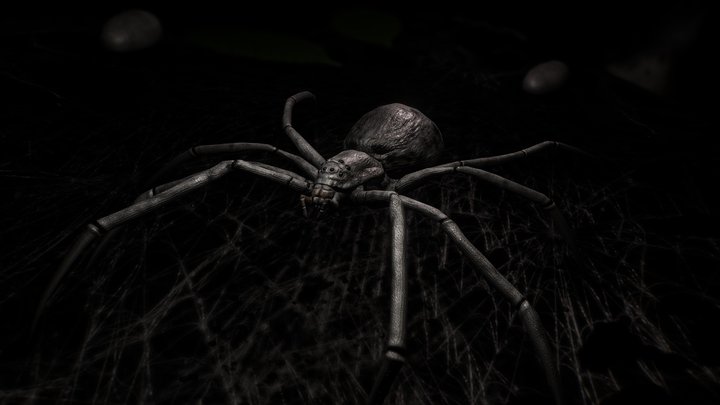 Black widow (Animated, downloadable) 3D Model