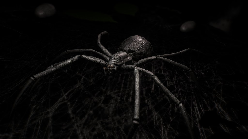 Black widow (Animated, downloadable)