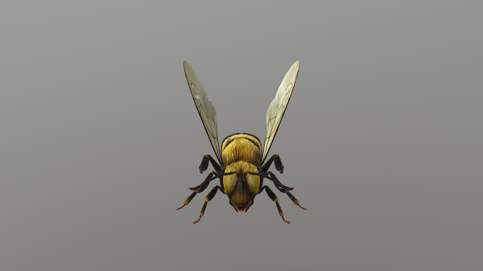 Bee