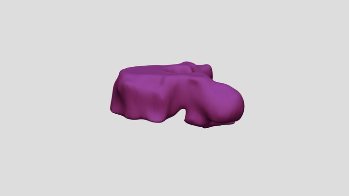Thoracic Vertebrae 3D Model
