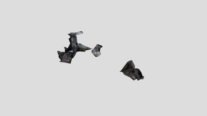 Mi genial modelo 3D de las fotos 3D Model