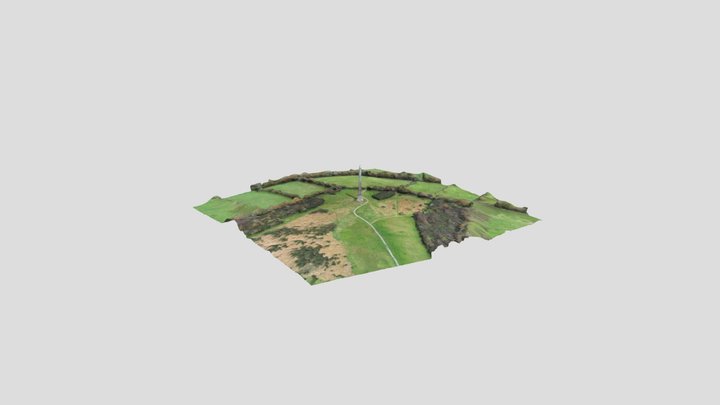 Gilbert Monument - Bodmin Beacon 3D Model