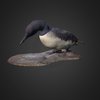 Loading 3D Model