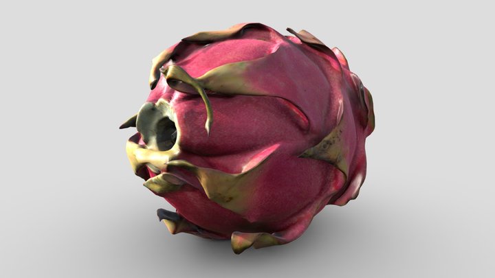 Photogrammetry Dragon Fruit (Remeshed) 3D Model