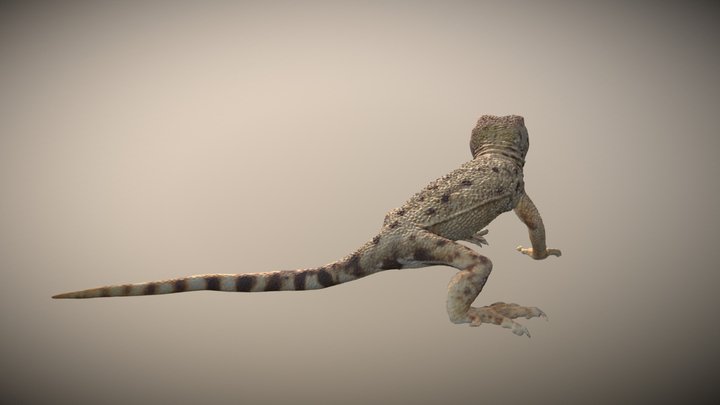 Dragón de Torres Mura 3D Model