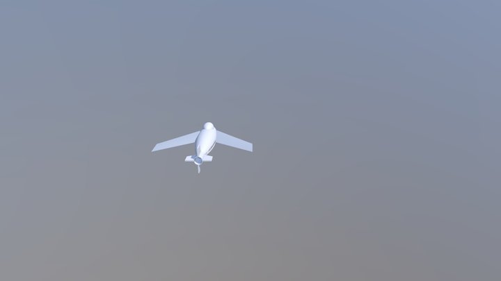 Modele de l'avion 3D Model
